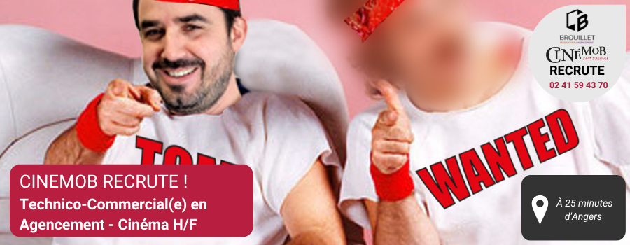 offre emploi technicien commercial agencement cinema